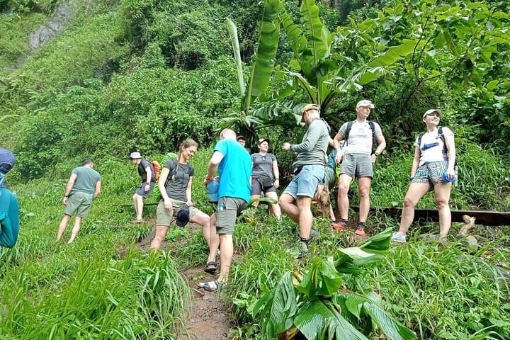 Materuni Waterfalls, Coffee Tour & Kikuletwa Hot Springs — Day Trip from Arusha photo 1