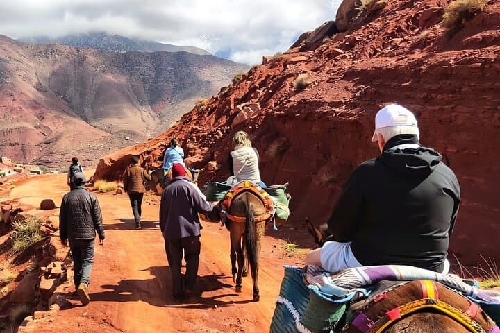 Day Trip to Ourika Valley & Atlas Mountains: Waterfalls, Berber Villages, and Short Hikes photo 5