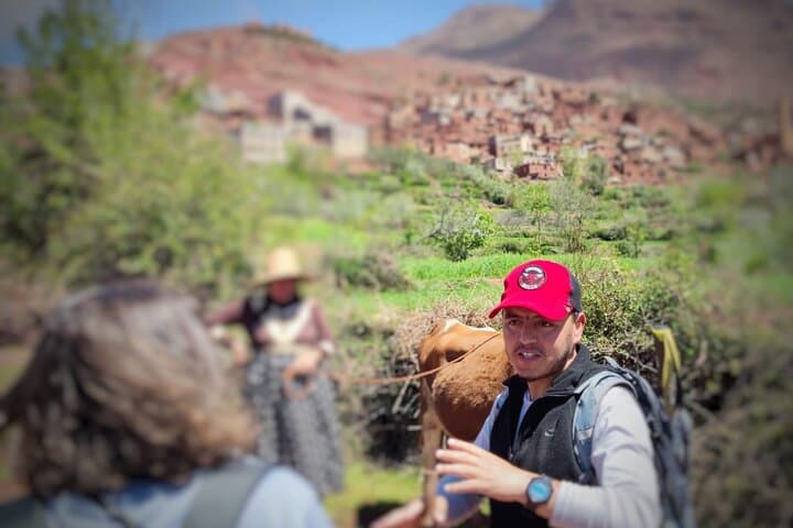 Day Trip to Ourika Valley & Atlas Mountains: Waterfalls, Berber Villages, and Short Hikes photo 6