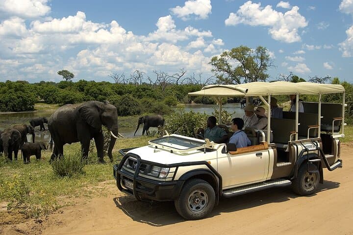 Chobe Day Trip: Kasane Safari & Chobe River Boat Cruise photo 3