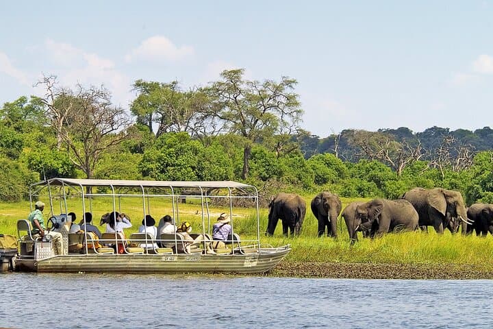 Chobe Day Trip: Kasane Safari & Chobe River Boat Cruise photo 4
