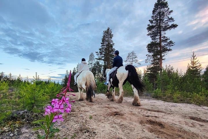 Horseback Riding Along the Kemijoki: 2.5-Hour Forest Ride from Rovaniemi photo 5