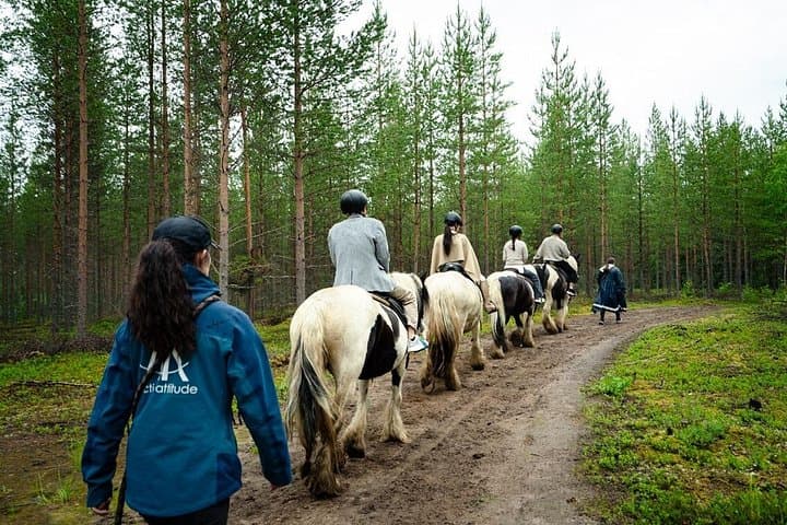 Horseback Riding Along the Kemijoki: 2.5-Hour Forest Ride from Rovaniemi photo 3