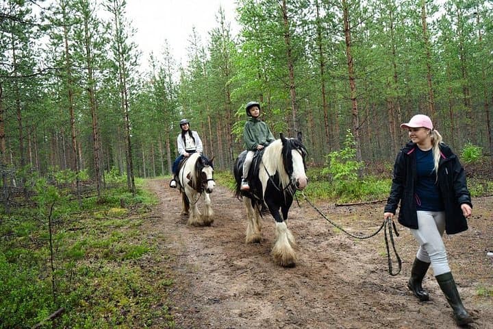 Horseback Riding Along the Kemijoki: 2.5-Hour Forest Ride from Rovaniemi photo 4