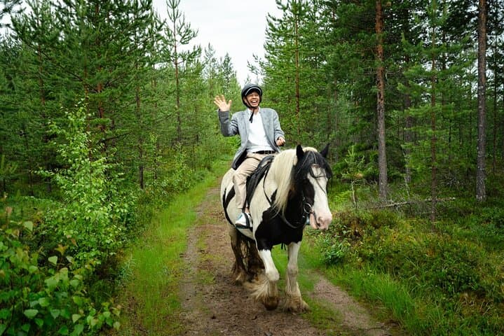 Horseback Riding Along the Kemijoki: 2.5-Hour Forest Ride from Rovaniemi