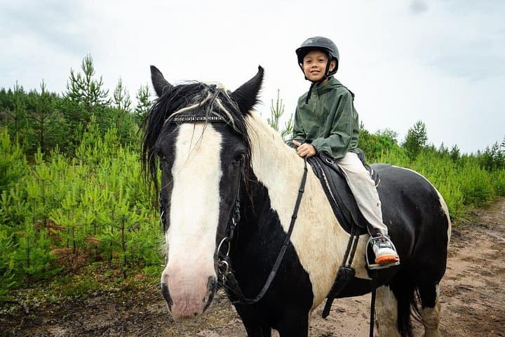 Horseback Riding Along the Kemijoki: 2.5-Hour Forest Ride from Rovaniemi photo 2