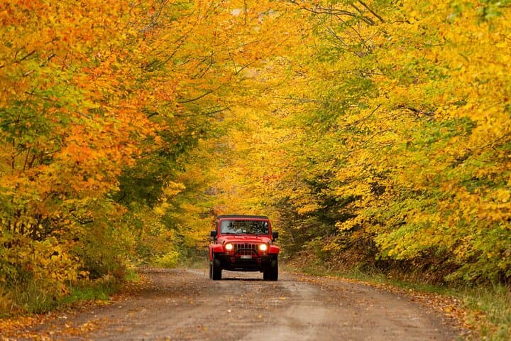 Cape Breton Fall Colours Tour: Margaree River Drive & Valley Views