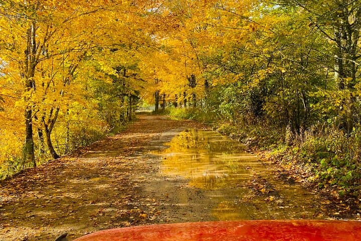Cape Breton Fall Colours Tour: Margaree River Drive & Valley Views photo 6