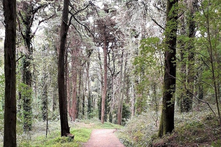 Cascais Open Water Swim & Coastal Hike — Cresmina Dunes to Sintra-Cascais Park photo 3