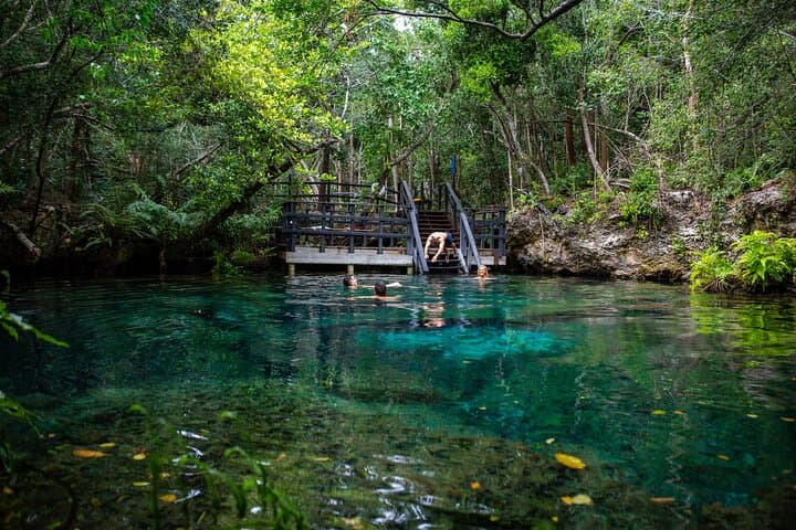 Indigenous Eyes Cenotes Eco Tour — Punta Cana Conservation & Swimming Adventure