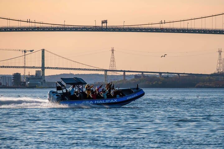 Halifax Harbour High-Speed Historical & Wildlife Tour