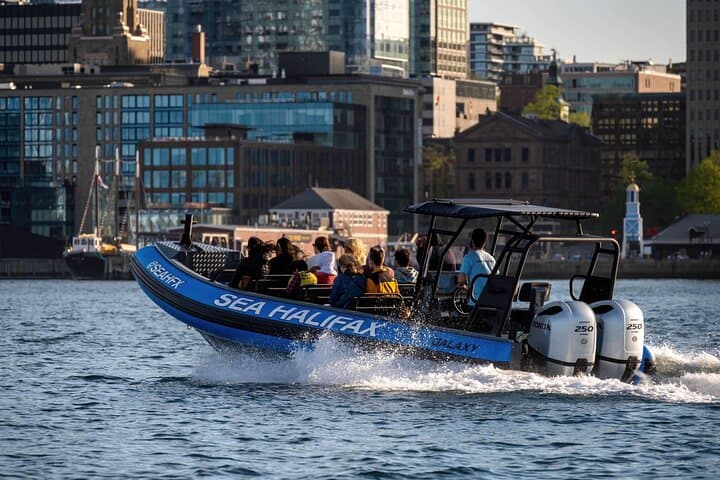 Halifax Harbour High-Speed Historical & Wildlife Tour photo 4