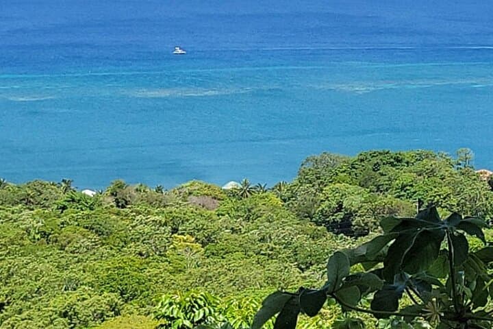 Roatán Zipline Canopy Tour and West Bay Beach Break photo 3
