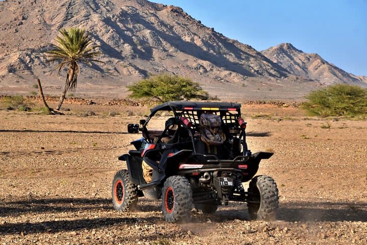 Boa Vista 2-Hour Buggy Death Valley Adventure (1000cc) photo 4