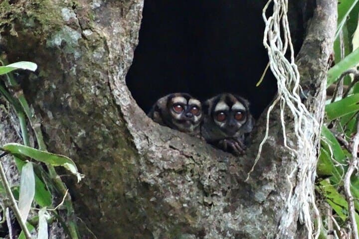 5-Day Cuyabeno Amazon Jungle Adventure at Tucan Lodge photo 3