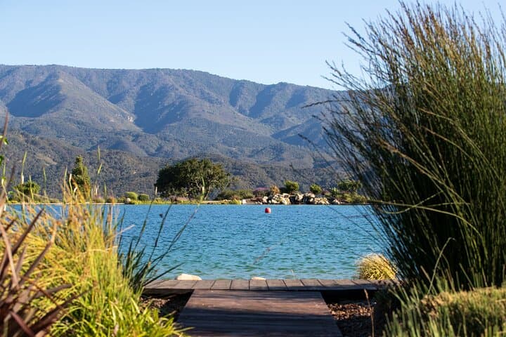 Private Santa Ynez Vineyard Tour and Sustainable Wine Tasting photo 4