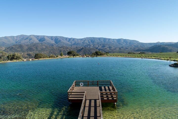 Private Santa Ynez Vineyard Tour and Sustainable Wine Tasting
