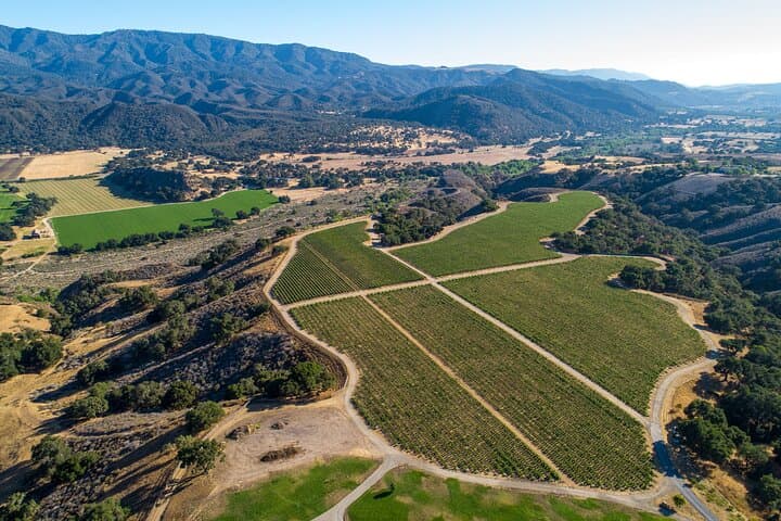 Private Santa Ynez Vineyard Tour and Sustainable Wine Tasting photo 2