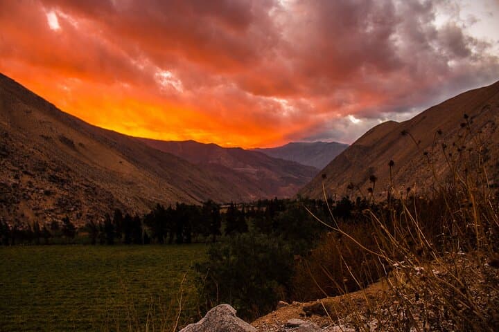 Elqui Valley History and Flavors Day Tour from La Serena