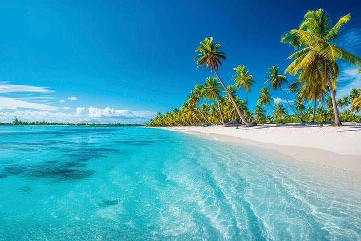 Snorkel Catalina Island From Punta Cana: The Wall, Private Beach & Dominican Feast photo 2