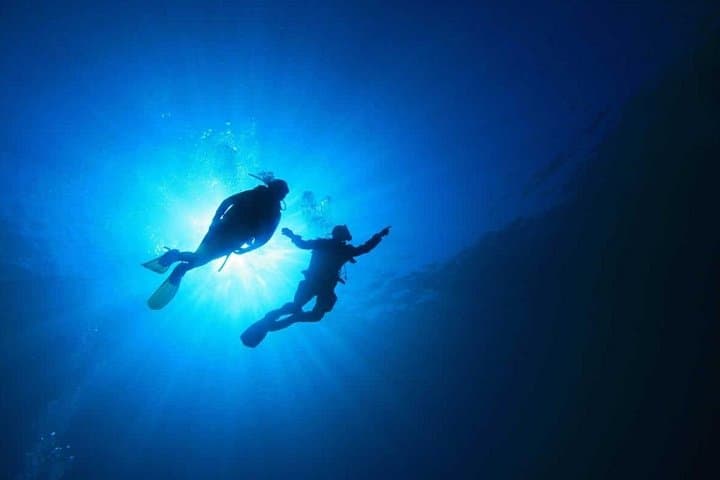 Scuba Diving Catalina Island from Punta Cana — Day Dives and Private Beach Lunch photo 4