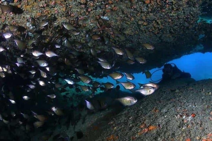 Beginner Scuba Diving Adventure Off Nha Trang: Guided Intro Dives & Marine Park Highlights photo 3
