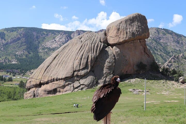 Full-Day Chinggis Khaan Statue & Terelj National Park: Horseback Ride, Eagle Meet, and Short Hike photo 5