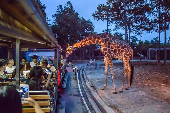 Chiang Mai Night Safari: Nocturnal Tram Ride & Jaguar Trail Experience photo 5