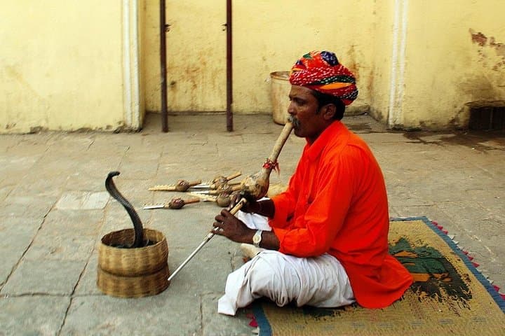 7-Day Golden Triangle Tour — Delhi, Agra & Jaipur Cultural Highlights and Practical Guide photo 5