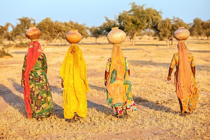 12-Day Rajasthan Adventure: Taj Mahal, Tigers & Royal Cities