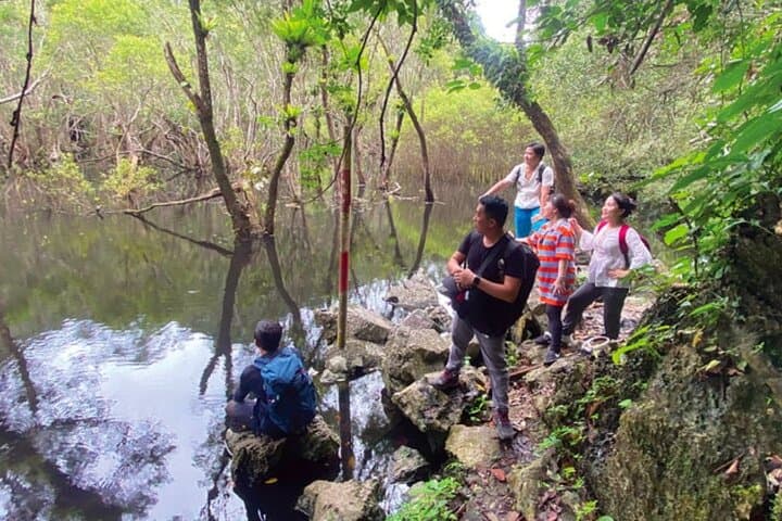 Cat Ba National Park: 1-Day Trekking and Biking from Cat Ba Town photo 2