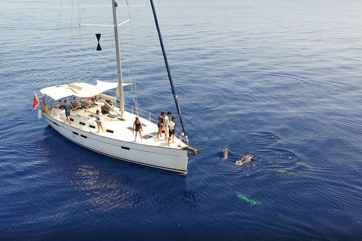 Eco-Friendly Dolphin & Marine Life Spotting Cruise to Filfla, Malta