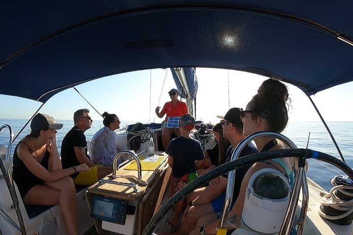 Eco-Friendly Dolphin & Marine Life Spotting Cruise to Filfla, Malta photo 2