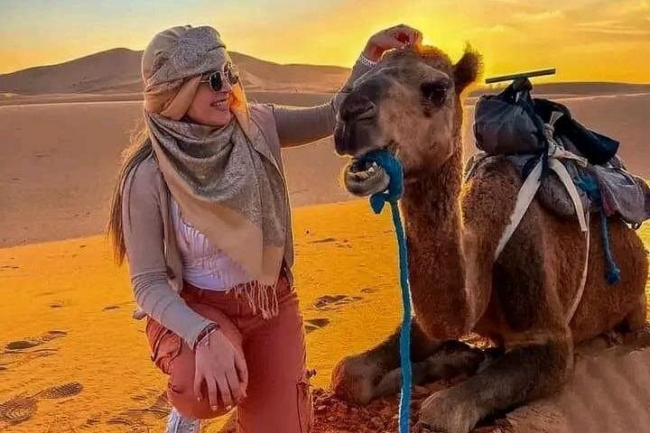 Overnight Camel Trek in Merzouga: 1 Night Desert Camp & Sunrise in Erg Chebbi photo 1