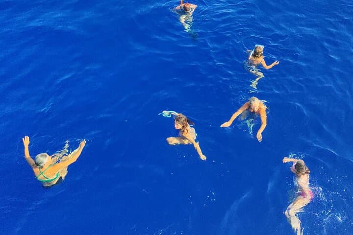 Eco-Friendly Dolphin & Marine Life Spotting Cruise to Filfla, Malta photo 6