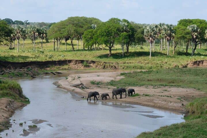 Private 4-Day Murchison Falls Safari: Walking, Boat & Tented-Camp Experience photo 4