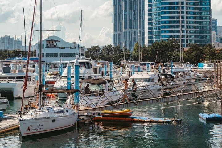 Savor Busan: 3N4D Culinary & Cafe Culture Tour with Haeundae Yacht and Temple Visits
