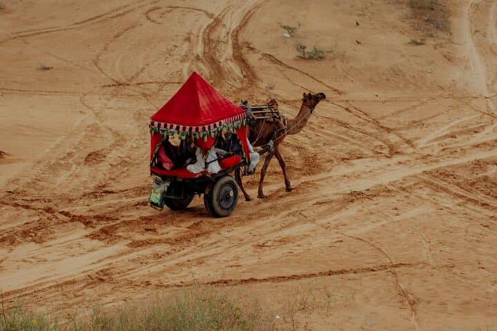 Pushkar Day Tour: Brahma Temple, Camel Safari & Savitri Ropeway