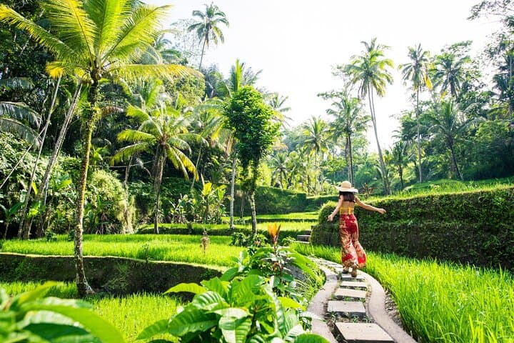 Ubud All-Inclusive Private Day Tour: Tegalalang Rice Terraces, Tirta Empul & Waterfalls photo 6