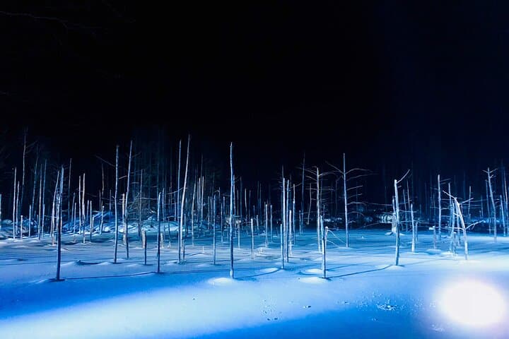 Sapporo to Blue Pond & Shirahige Falls: Private Furano Day Tour photo 4