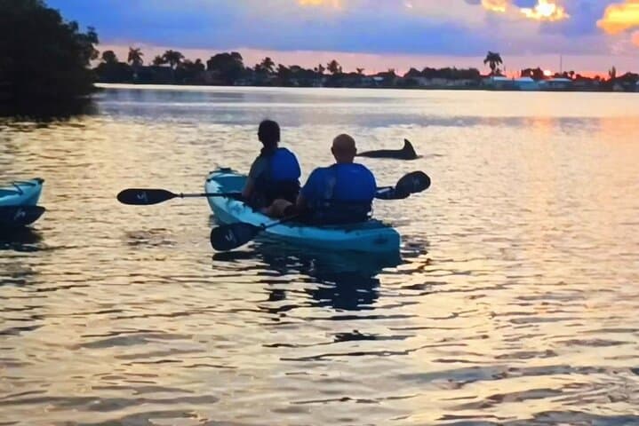 Indian River Lagoon Kayak Tours: Dolphins, Manatees & Bioluminescence in Cocoa Beach photo 2