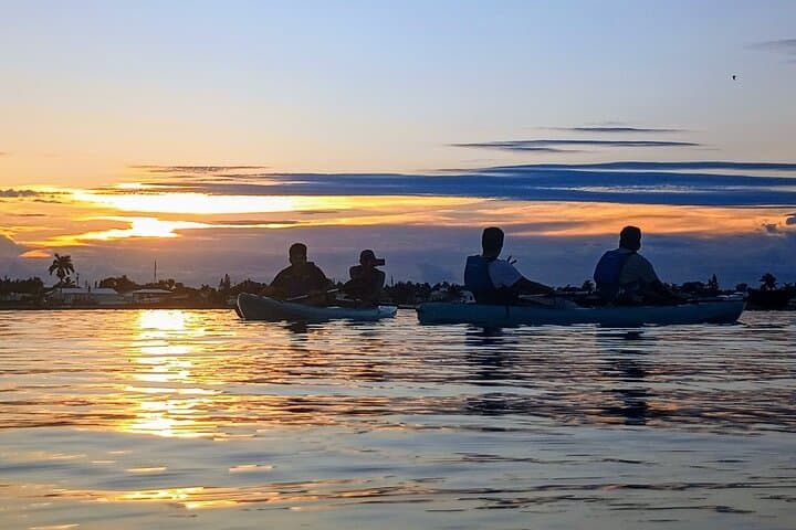 Indian River Lagoon Kayak Tours: Dolphins, Manatees & Bioluminescence in Cocoa Beach photo 5