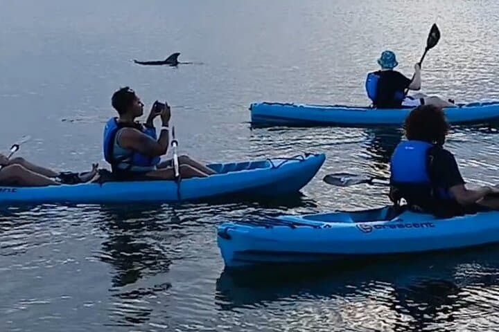 Indian River Lagoon Kayak Tours: Dolphins, Manatees & Bioluminescence in Cocoa Beach photo 3