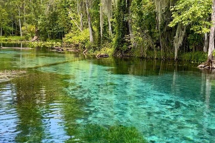 Clear Kayaking Wildlife Tour at Silver Springs State Park photo 3