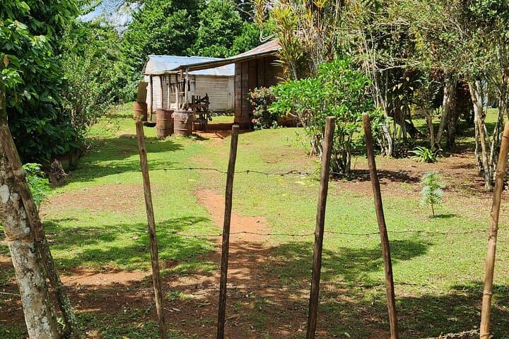 Private Countryside and City Tour in Puerto Plata — Cocoa, Markets & Coastal Views photo 3