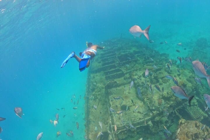 Carlisle Bay Glass-Bottom Boat Cruise and Snorkeling Barbados photo 3