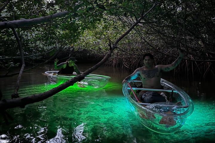 Night Kayak in Key West's Luminous Lagoon — LED Clear-Bottom Adventure photo 5