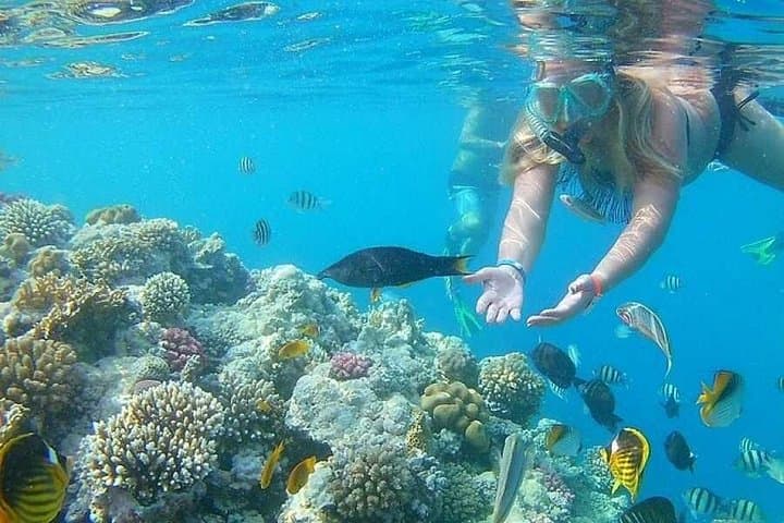 Red Sea Snorkel: Orange Bay & Giftun Islands Day Cruise from Hurghada photo 1