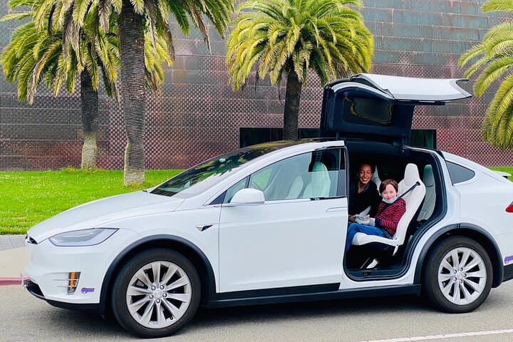 San Francisco in a Tesla: Private Luxury Tour of Top Sights