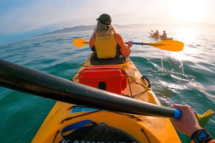 Paddle with Seals: Kaikoura Small-Group Coastal Kayak from Christchurch photo 3